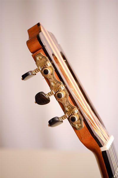 kaki8